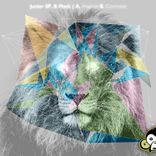 Artwork for "Anansie"