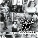 Artwork for "Moonshine"