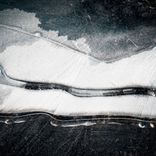 Portada para "Byakuya"