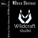 Artwork voor "Obvious"