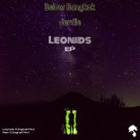 Artwork for "Leonids"