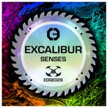 Artwork for "Senses"