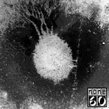 Portada para "Relic"