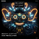 Artwork voor "Acid Revolution"