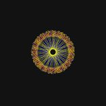 Artwork for "Analogue Princess"