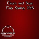Artwork for "Drum & Bass Top Spring 2018"