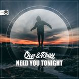 Artwork for "Need You Tonight"