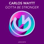 Artwork for "Gotta Be Stronger"