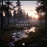 Artwork voor "Ruhepol"