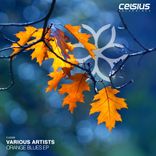 Artwork for "Orange Blues EP"