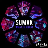 Portada para "What Is House"