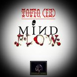 Artwork für "Mind Flow"