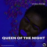 Artwork voor "Queen Of The Night"