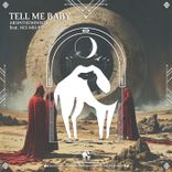 Artwork voor "Tell Me Baby"