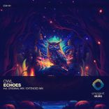 Artwork for "Echoes"