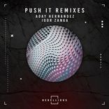 Artwork for "Push It Remixes"