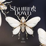 Artwork für "Shutting Down"