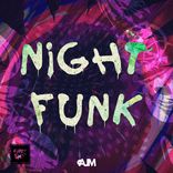 Artwork for "Night Funk"