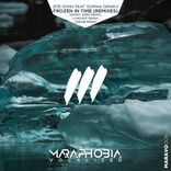 Artwork voor "Frozen In Time (Remixes)"