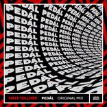 Artwork for "Pedál"