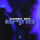 Artwork voor "Down My Spine"