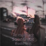 Portada para "Te Esperaré"