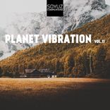 Portada para "Planet Vibration, Vol. 11"