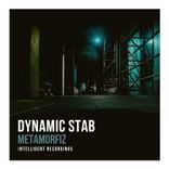 Artwork voor "Metamorfiz"