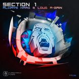 Artwork voor "Always Hard & Loud A-Gain (Section 1 Mashup)"