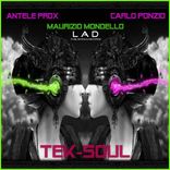 Artwork voor "Tek-Soul"