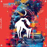 Artwork for "Shelter"