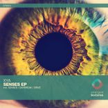 Artwork voor "Senses"