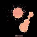 Portada para "Noaptea Imparateasa"