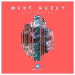 Artwork for "Stereoghost"