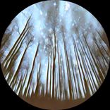 Artwork für "Fairy Tales EP"