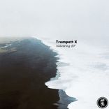 Artwork voor "Wavering EP"