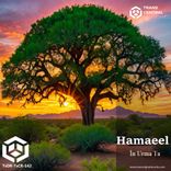 Portada para "În Urma Ta (In Your Wake)"