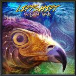 Portada para "Vision Heir"