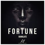 Artwork für "Fortune"