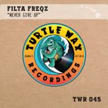 Artwork for "Never Give Up"