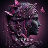 Portada para "Osekem"