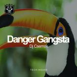Artwork für "Danger Gangsta"