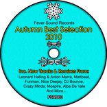 Artwork for "FSR Autumn Best Selection 2010"