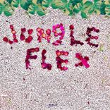 Artwork for "Jungle Flex"