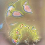 Artwork für "Habitat"