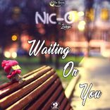 Artwork voor "Waiting on You"