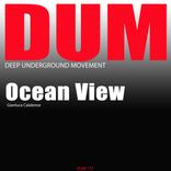 Artwork for "Ocean View"