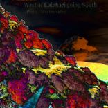Artwork for "West of Kalahari Going South, Pt. 2. Into The Valleys"