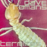 Artwork for "Termites"