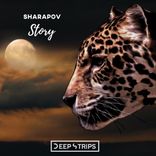 Portada para "Story"